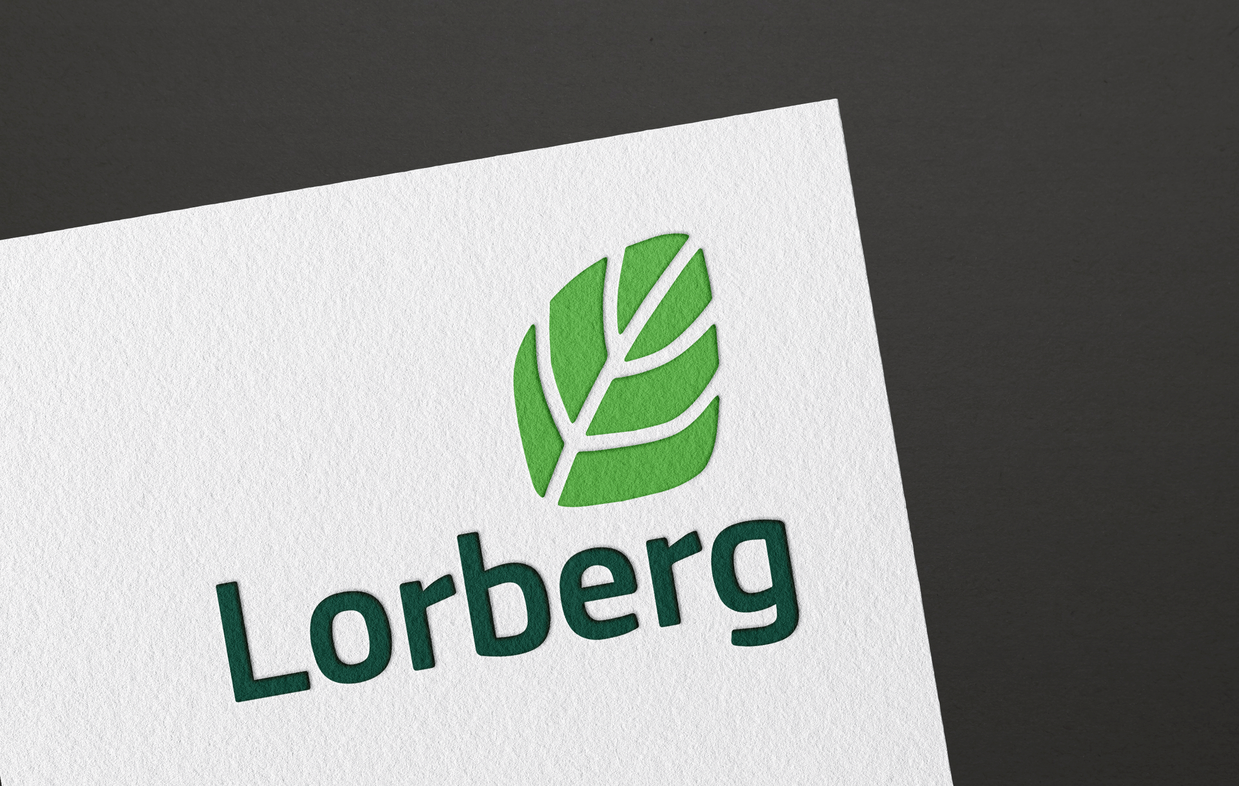 andremetzen_lorberg