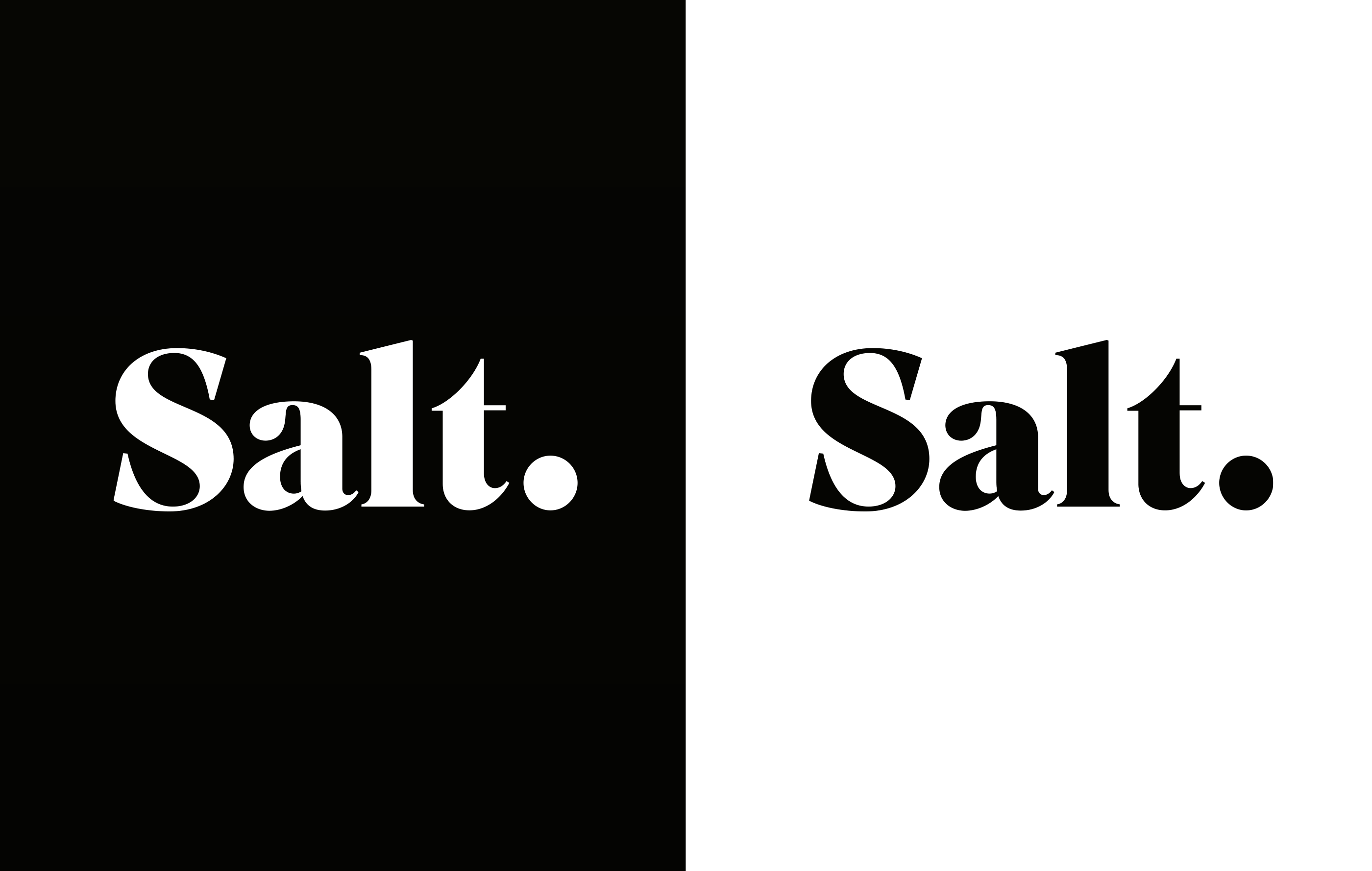 andremetzen_salt